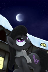 Size: 3444x5167 | Tagged: safe, artist:rameslack, octavia melody, earth pony, pony, clothes, moon, night, scarf, solo, stars, wanderer d