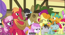 Size: 851x467 | Tagged: safe, screencap, apple bloom, berry punch, berryshine, big macintosh, carrot top, cheerilee, daisy, flower wishes, golden harvest, lily, lily valley, matilda, octavia melody, piña colada, snails, snips, sweetie belle, truffle shuffle, earth pony, pony, unicorn, slice of life (episode), applecore, colt, male, meme, piña cutelada, stallion, youtube caption