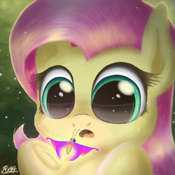 Size: 1500x1500 | Tagged: safe, artist:phoenixrk49, fluttershy, butterfly, pegasus, pony, amazed, bust, cute, female, looking at something, mare, open mouth, portrait, shyabetes, solo, underhoof