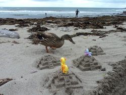 Size: 1280x960 | Tagged: safe, artist:travelling-my-little-pony, applejack, bird, duck, human, mallard, all hail the duck, beach, devon, irl, lilac hearts, ocean, photo, photography, pyramid, sand, sand sculpture, seaweed, surfing, toy, ziggurat