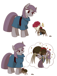 Size: 1000x1327 | Tagged: dead source, safe, artist:umeguru, maud pie, pony, spider, blushing, cargo ship, clothes, comic, crack shipping, female, fuzzy legs, heart, mare, pictogram, shipping, simple background, spiderbro, thought bubble, white background