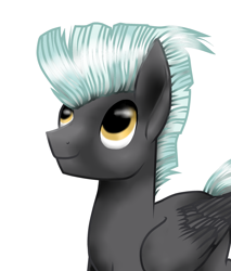 Size: 1024x1201 | Tagged: safe, artist:kobra333, thunderlane, pegasus, pony, looking up, male, simple background, smiling, solo, stallion, white background