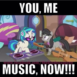 Size: 768x769 | Tagged: safe, screencap, dj pon-3, octavia melody, vinyl scratch, earth pony, pony, slice of life (episode), musician, vinyl and octavia's home, watermark, you. me. x. now.