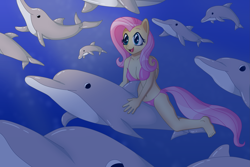 Size: 5243x3495 | Tagged: safe, artist:sergeant16bit, fluttershy, anthro, dolphin, pegasus, animal, belly button, bikini, breasts, clothes, female, ocean, riding, solo, swimsuit, underwater, watershy