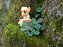 Size: 1280x960 | Tagged: safe, artist:lee-sherman, applejack, blind bag, irl, photo, toy