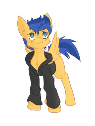 Size: 960x1280 | Tagged: safe, artist:asktheinfiltrators, artist:larrykitty, flash sentry, pegasus, pony, clothes, equestria girls ponified, fanfic art, hoodie, jacket, male, ponified, simple background, solo, stallion, transparent background