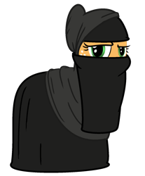 Size: 1234x1492 | Tagged: artist needed, safe, applejack, earth pony, pony, clothes, islam, niqab, op is a cuck, op is trying to start shit, simple background, solo, transparent background