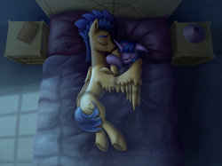 Size: 3070x2302 | Tagged: safe, artist:nightpaint12, flash sentry, twilight sparkle, twilight sparkle (alicorn), alicorn, bed, book, cuddling, female, flashlight, hug, male, night, shipping, sleeping, snuggling, story in the source, straight, winghug