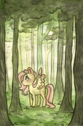 Size: 693x1049 | Tagged: safe, artist:twixyamber, fluttershy, pegasus, pony, female, forest, looking away, looking up, mare, solo, spread wings, traditional art, tree, wings