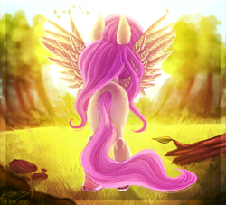 Size: 1600x1455 | Tagged: safe, artist:sakishithewolf, fluttershy, pegasus, pony, forest, plot, rear view, signature, solo, spread wings, wings