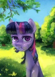 Size: 2457x3456 | Tagged: safe, artist:my-magic-dream, derpibooru import, twilight sparkle, candy, food, lollipop, solo