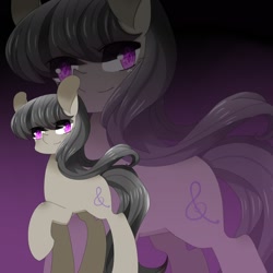 Size: 1600x1600 | Tagged: safe, artist:罗卡·安, octavia melody, earth pony, pony, backwards cutie mark, pixiv, solo, zoom layer