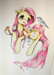 Size: 2304x3204 | Tagged: safe, artist:claire lixi, fluttershy, bird, blue jay, pegasus, pony, blushing, cute, female, floppy ears, flower, flower in hair, flower in tail, folded wings, looking at something, mare, open mouth, prone, robin, shyabetes, traditional art