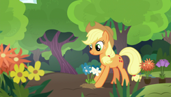 Size: 1920x1090 | Tagged: safe, screencap, applejack, earth pony, pony, fluttershy leans in, flower, planting, solo