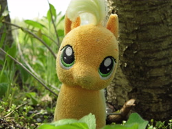 Size: 4608x3456 | Tagged: safe, artist:mfg637, applejack, earth pony, pony, absurd resolution, cute, female, irl, looking at you, mare, nature, photo, plushie, solo, toy