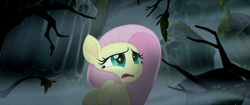 Size: 1920x804 | Tagged: safe, screencap, fluttershy, pegasus, pony, my little pony: the movie, fog, hippogriffia, mount aris, scared, solo, tree branch