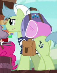 Size: 354x454 | Tagged: safe, screencap, pinkie pie, earth pony, pony, ppov, anchors aweigh (character), cropped, male, plot, saddle bag, sailor, scar, stallion, stitches