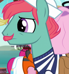 Size: 675x720 | Tagged: safe, screencap, pinkie pie, earth pony, pony, ppov, background pony, cropped, facial hair, male, moustache, saddle bag, sailor, stallion, unnamed pony