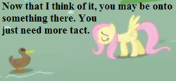 Size: 351x162 | Tagged: safe, edit, edited screencap, screencap, fluttershy, duck, pegasus, pony, griffon the brush off, cropped, duo, female, mare, op has a point (reaction image), op is a duck (reaction image), reaction image, text