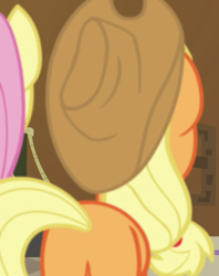 Size: 570x719 | Tagged: safe, screencap, applejack, fluttershy, earth pony, pegasus, pony, all bottled up, cropped, female, mare, plot, solo focus