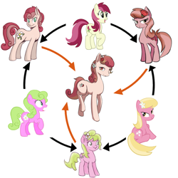 Size: 2199x2200 | Tagged: safe, artist:hamflo, artist:herny, artist:king-kakapo, artist:nivrozs, daisy, flower wishes, lily, lily valley, roseluck, flower trio, fusion, fusion diagram, hexafusion, rose