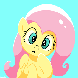 Size: 1200x1200 | Tagged: safe, artist:kemofoo, fluttershy, pegasus, pony, cute, female, mare, shyabetes, simple background, solo