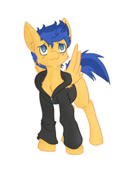 Size: 900x1200 | Tagged: safe, artist:steelsoul, flash sentry, pegasus, pony, cheek fluff, chest fluff, clothes, cute, diasentres, ear fluff, equestria girls outfit, hoodie, male, no pupils, pixiv, simple background, solo, stallion, white background, wing fluff