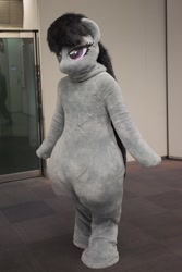 Size: 512x768 | Tagged: safe, octavia melody, anthro, human, clothes, cosplay, costume, fursuit, irl, irl human, photo