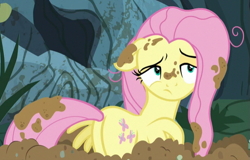 Size: 605x388 | Tagged: safe, screencap, fluttershy, pegasus, pony, a health of information, cropped, female, floppy ears, mare, messy, messy mane, mud, plot, solo