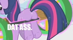 Size: 637x349 | Tagged: safe, derpibooru import, edit, edited screencap, screencap, twilight sparkle, pony, winter wrap up, caption, female, image macro, mare, meme, plot