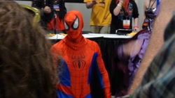 Size: 1500x844 | Tagged: safe, human, bronycon, cosplay, irl, irl human, meta, photo, spider-man