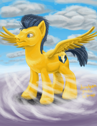 Size: 2153x2786 | Tagged: safe, artist:amalgamzaku, flash sentry, pegasus, pony, cloud, cutie mark, male, solo, spread wings, stallion, wings
