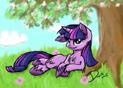 Size: 1400x1000 | Tagged: safe, artist:superdashiebros, derpibooru import, twilight sparkle, solo, unshorn fetlocks