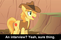 Size: 1024x672 | Tagged: safe, braeburn, comic:celestia's servant interview, caption, interview, meta