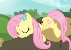 Size: 3174x2245 | Tagged: safe, artist:shutterflyeqd, fluttershy, harry, bear, pegasus, pony, cute, flower, flower in hair, lying on top of someone, shyabetes, sleeping, solo