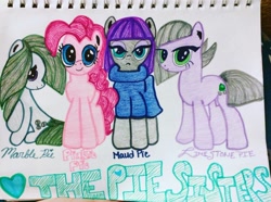 Size: 1844x1375 | Tagged: safe, artist:thequestionraven, limestone pie, marble pie, maud pie, pinkie pie, pony, pie sisters, siblings, sisters, traditional art