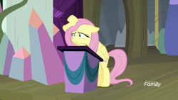 Size: 1920x1080 | Tagged: safe, screencap, fluttershy, pegasus, pony, horse play, bipedal, discovery family logo, podium