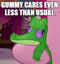 Size: 361x384 | Tagged: safe, edit, edited screencap, screencap, gummy, pinkie pie, earth pony, pony, my little pony: the movie, cropped, gummy doesn't give a fuck, image macro, meme, solo focus