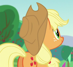 Size: 442x408 | Tagged: safe, screencap, applejack, earth pony, pony, the mane attraction, cropped, female, freckles, mare, plot, solo