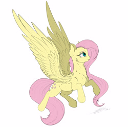 Size: 3000x3000 | Tagged: safe, artist:skitsroom, fluttershy, pegasus, pony, female, mare, simple background, solo, spread wings, white background, wings