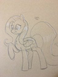 Size: 3024x4032 | Tagged: safe, artist:hypno, fluttershy, pegasus, pony, chest fluff, female, grayscale, looking at something, looking down, mare, monochrome, raised hoof, simple background, sketch, solo, standing, traditional art