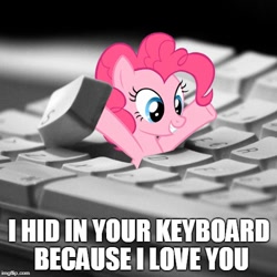 Size: 500x500 | Tagged: safe, pinkie pie, pony, arms in the air, bronybait, cute, female, i hid in your keyboard, image macro, irl, keyboard, looking up, meme, open mouth, photo, pinkie being pinkie, ponies in real life, smiling, solo