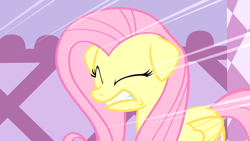 Size: 1024x576 | Tagged: safe, screencap, fluttershy, pegasus, pony, stare master, cringing, cute, eyes closed, female, floppy ears, implied cutie mark crusaders, mare, shyabetes, solo