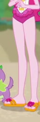 Size: 118x355 | Tagged: safe, screencap, pinkie pie, spike, spike the regular dog, dog, better together, equestria girls, forgotten friendship, feet, flip-flops, legs, pictures of legs, sandals