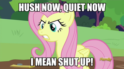 Size: 960x538 | Tagged: safe, edit, edited screencap, screencap, fluttershy, pegasus, pony, fluttershy leans in, angry, discovery family logo, hush now quiet now, image macro, meme, shut up, solo