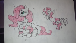 Size: 5504x3096 | Tagged: safe, artist:tuppkam1, fluttershy, pegasus, pony, wolf, prone, sketch, traditional art