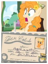 Size: 3106x4096 | Tagged: safe, edit, screencap, applejack, pear butter, earth pony, pony, the perfect pear, absurd resolution, babyjack, birth certificate, foal, pregnancy test, screencap comic