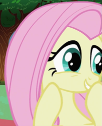 Size: 441x541 | Tagged: safe, screencap, fluttershy, pegasus, pony, lesson zero, season 2, boop, cropped, cute, female, giggling, mare, self-boop, solo