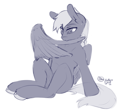 Size: 2562x2340 | Tagged: safe, artist:northernsprint, oc, oc only, oc:windswept skies, pegasus, pony, braid, male, monochrome, preening, simple background, solo, stallion, white background, wings