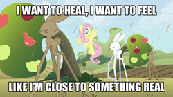 Size: 960x540 | Tagged: safe, edit, edited screencap, screencap, fluttershy, pegasus, pony, rabbit, squirrel, the return of harmony, animal, apple, apple tree, chaos, chocolate, chocolate rain, female, food, giant apple, girabbit, image macro, linkin park, mare, meme, rain, somewhere i belong, song reference, sweet apple acres, tree